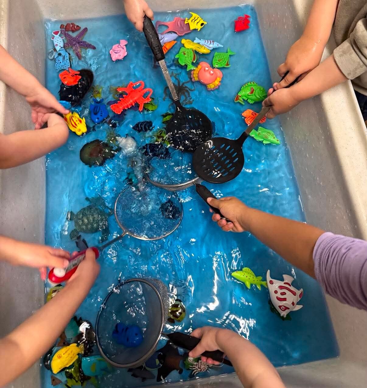 stoney creek coop daycare hamilton
